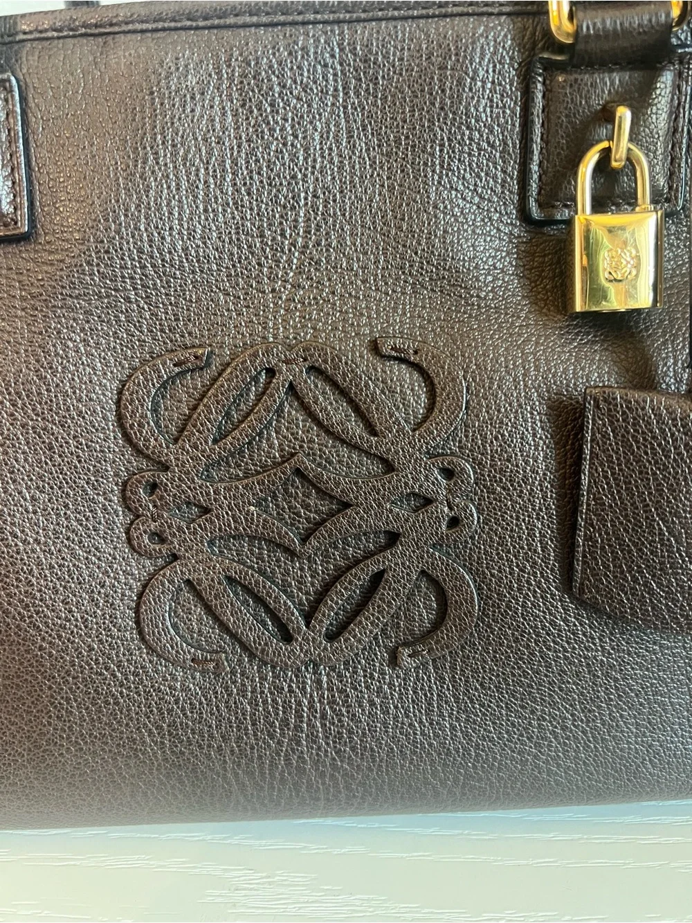 Loewe Amazona Bag